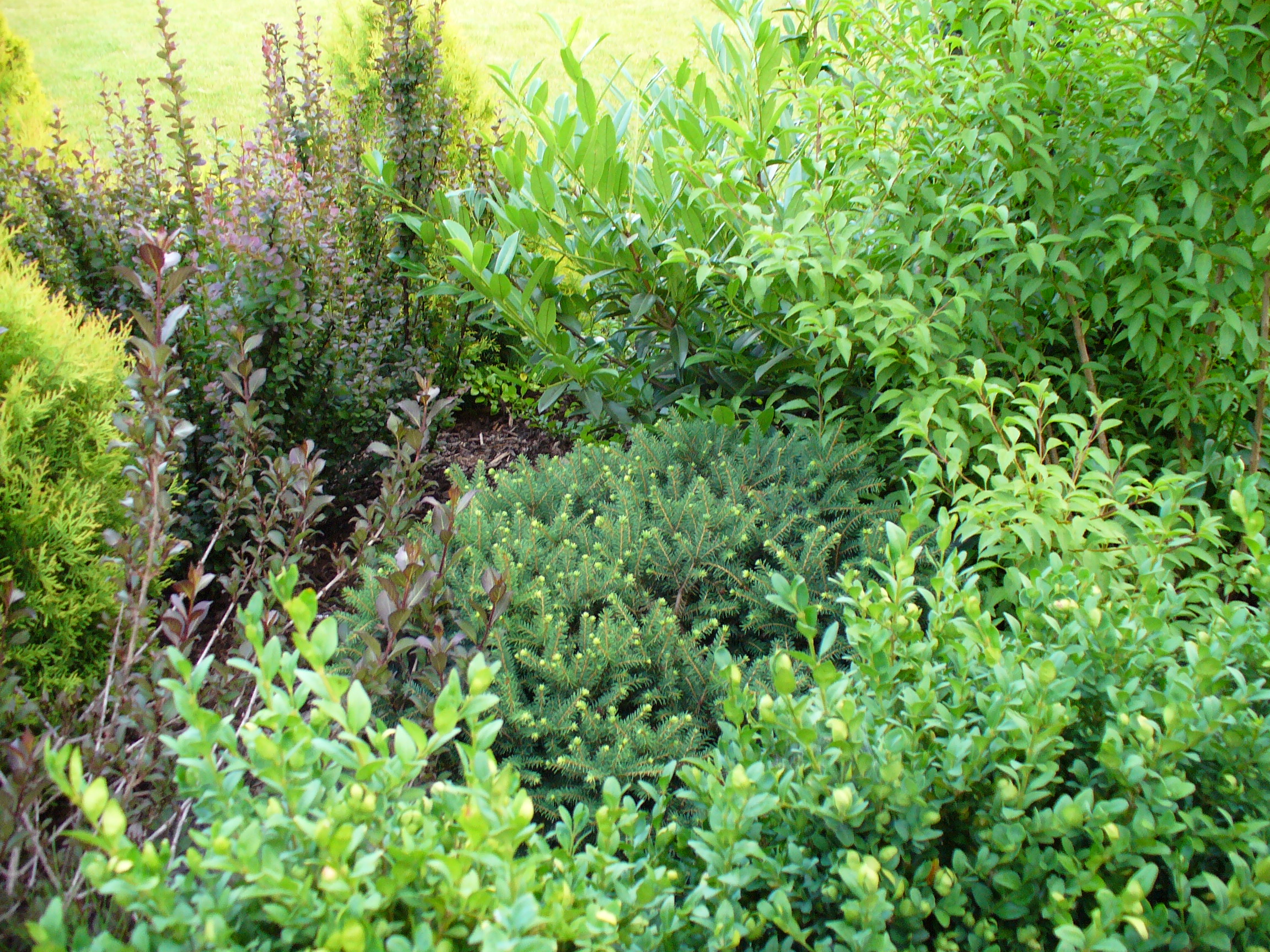 P1070036.JPG