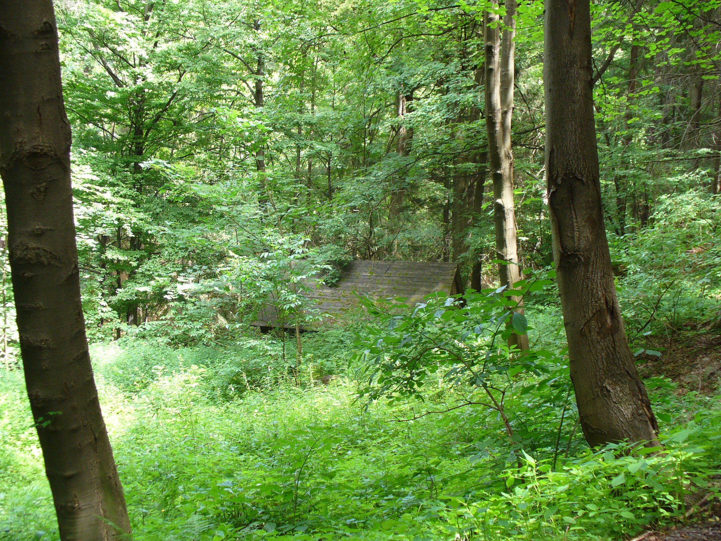 P1060769.JPG